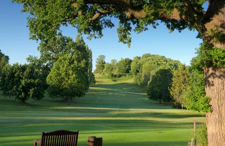 Knowle GC