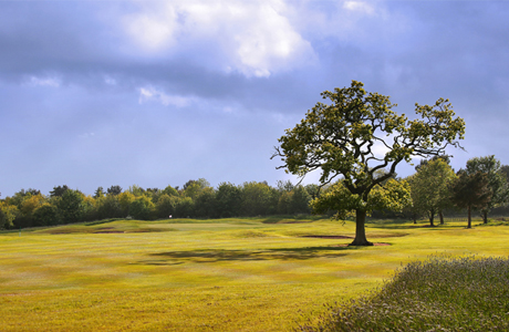 Linden Hall Golf Course