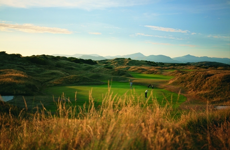 Royal St Davids Golf Club